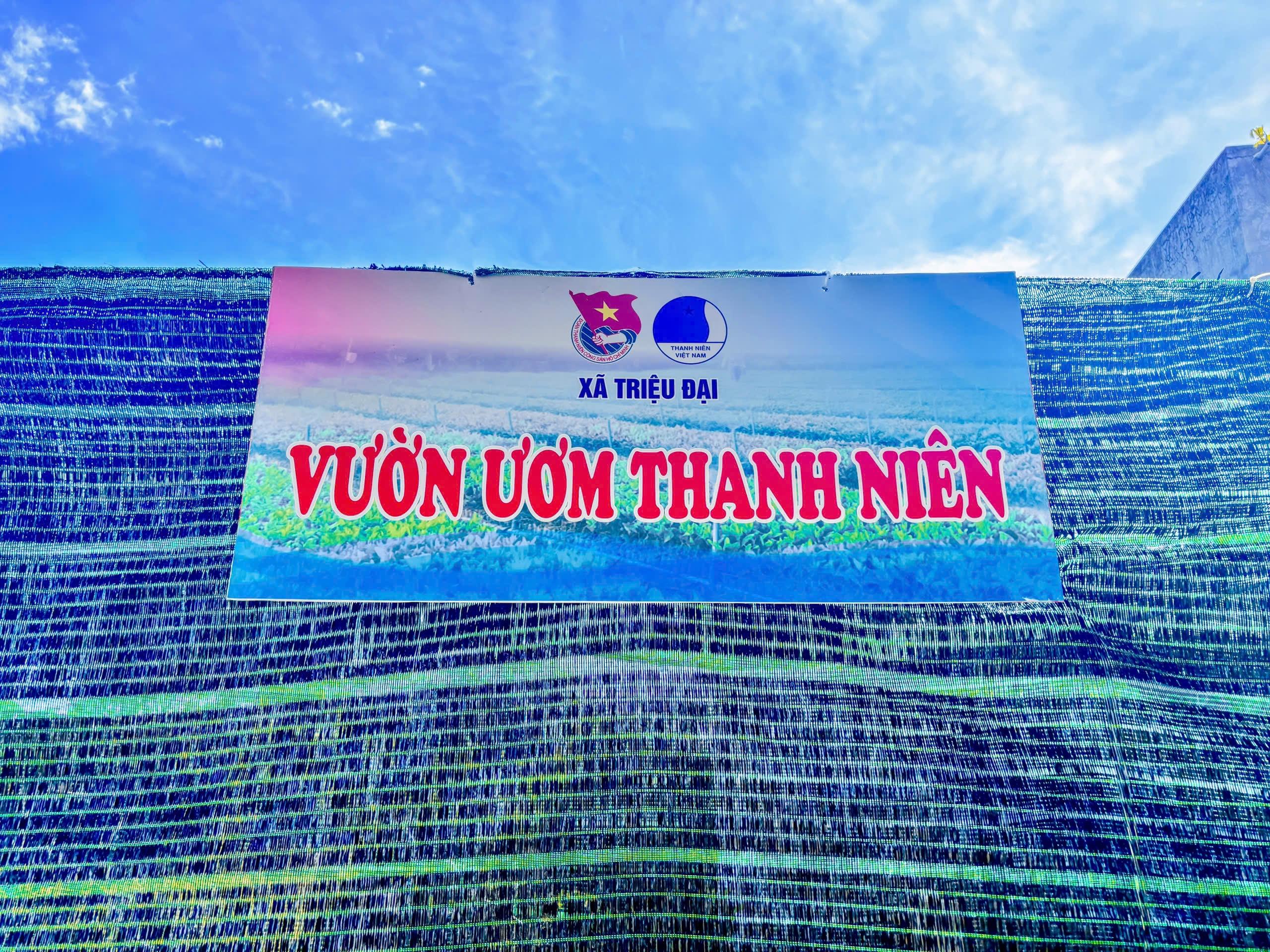 MÔ HÌNH “VƯỜN ƯƠM THANH NIÊN” CỦA ĐOÀN – HỘI LHTNVN XÃ TRIỆU ĐẠI